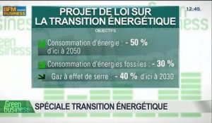 Spécial Transition énergétique: Sabine Buis, Nicolas Garnier, Guy Auger, Daniel Bour et Arnaud Gossement, dans Green Business - 29/06 4/4