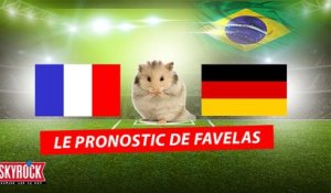 Le pronostic de Favelas le hamster pour France Allemagne  !