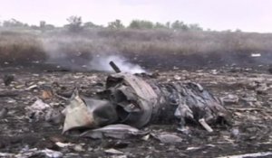 Crash du MH17 en Ukraine : les images de la catastrophe