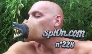 Le Zap de Spi0n n°228 - Zapping du Web