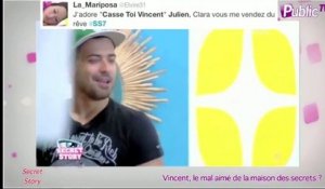 Public Zap : Vincent, le mal aimé de Secret Story 7 ?