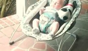 Un bébé et un petit chien se font des câlins dans un fauteuil à bascule!