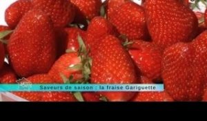MALC 02/05/14 Saveur de saison : la fraise Gariguette
