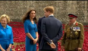 Les coquelicots de William et Kate pour honorer les morts de 14-18