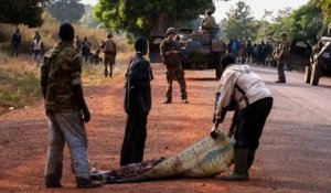 [1ère partie]« Centrafrique : quand Panthère désarme la route de l’ouest (Jdef) »