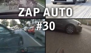 #ZapAuto 30