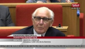 Henri Proglio - sur la transition énergétique - Audition