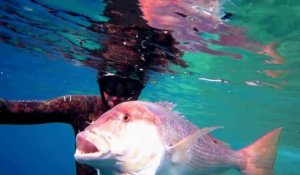Chasse sous-marine : Denti, l'intelligence faite poisson [bande annonce]