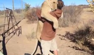 Un lion fait un câlin à un homme