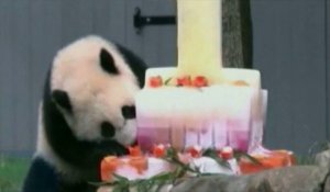 Le gâteau d'anniversaire du panda du zoo de Washington