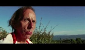 Michel Houellebecq et le cinéma