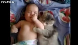 Des chats et des bébés