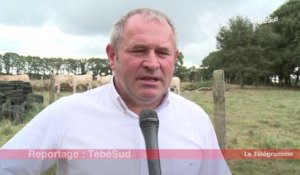 Pontivy. Le salon "Ohhh la vache !" ouvrira ses portes le 18 octobre