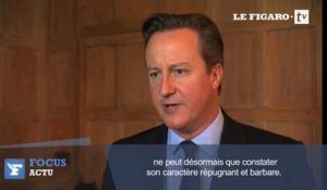 Cameron : "Il faut vaincre l'EI dans la région, mais aussi chez nous"