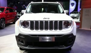 Mondial Auto 2014 : Jeep Renegade