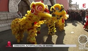 Nouvel an chinois : la France entre dans l'année de la chèvre