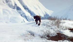 Grizzly - Extrait VF