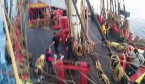 Les dauphins en visite sur l'Hermione