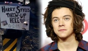 One Direction Fans Create "Shrine" to Harry Styles' Roadside Vomit