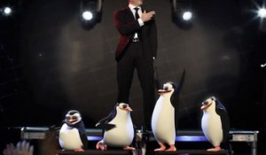 Les Pingouins de Madagascar - Clip Pitbull