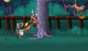 The Wild online multiplayer - gba