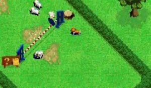 Sheep online multiplayer - gba