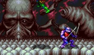 Teenage Mutant Hero Turtles : Tournament Fighters online multiplayer - megadrive