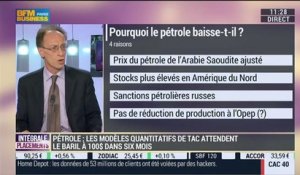 Cours du pétrole: Que prévoient les modèles quantitatifs de T.A.C ?: Thierry Apoteker - 07/11