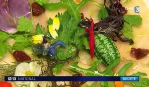 La gastronomie accessible aux jeunes