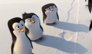 Les Pingouins de Madagascar - Video viral (VF)