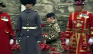 Centenaire de 14-18 : les Britanniques plantent 888 246 coquelicots pour rendre hommage à leurs soldats