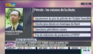 Pourquoi le cours du pétrole s'effondre t-il?: Francis Perrin - 14/11