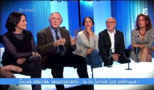 La loi famille fait polémique (4/5) - Ce soir (ou jamais!) - 23/05/2014