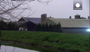 Pays-Bas : une deuxième exploitation touchée par la grippe aviaire