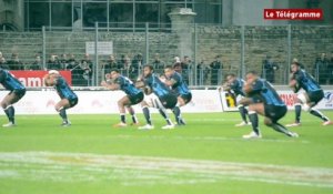 Rugby. Le cibi des Fidji à Vannes