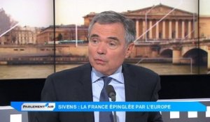 Barrage de Sivens : "Cécile Duflot est le chef des altermondialistes français"