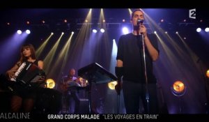 Alcaline, le Concert : Grand Corps Malade - Les Voyages En Train en live