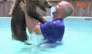 Border Son Petit Hamster Comme Un Bebe Trop Mignon Sur Orange Videos