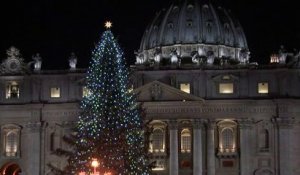 Il escalade le dôme du Vatican pour protester contre une directive européenne