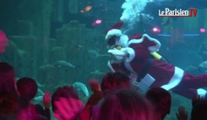 Paris. Un Père Noël dans un aquarium de 600 000 litres d'eau !