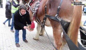 VIDEO. En deux chevaux dans la ville de Poitiers