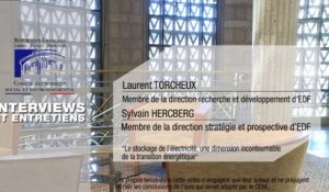 3 questions à Laurent TORCHEUX et Sylvain HERCBERG (EDF) - cese