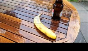 Comment ouvrir une bière avec une banane