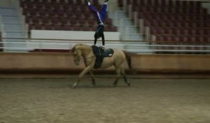 ÉQUITATION : La voltige se pratique aussi à cheval