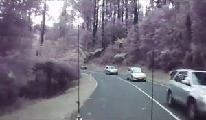 Cet automobiliste manque de peu de se faire écraser par une chute d'arbres
