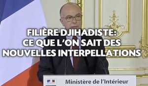 Filière djihadiste: Ce que l'on sait des nouvelles interpellations.