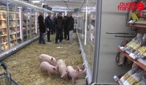 Crise porcine : les éleveurs s'invitent au supermarché près de Rennes