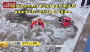 Un chien se fait sauver sur un lac gelé