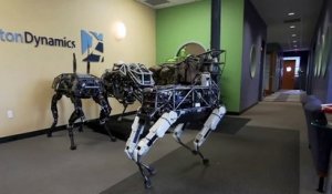 Spot, le chien-robot de Boston Dynamics