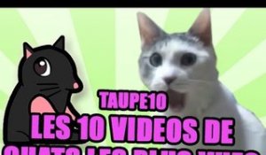 TOP 10 des vidéos de Chats les plus vues de tous les temps !